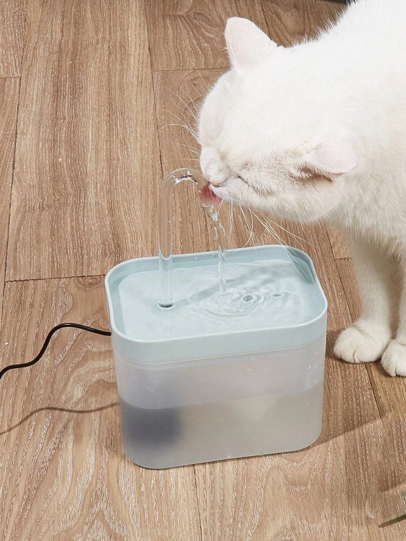 The Loaf Fountain — Filtered Fresh Water, Whisper Quiet