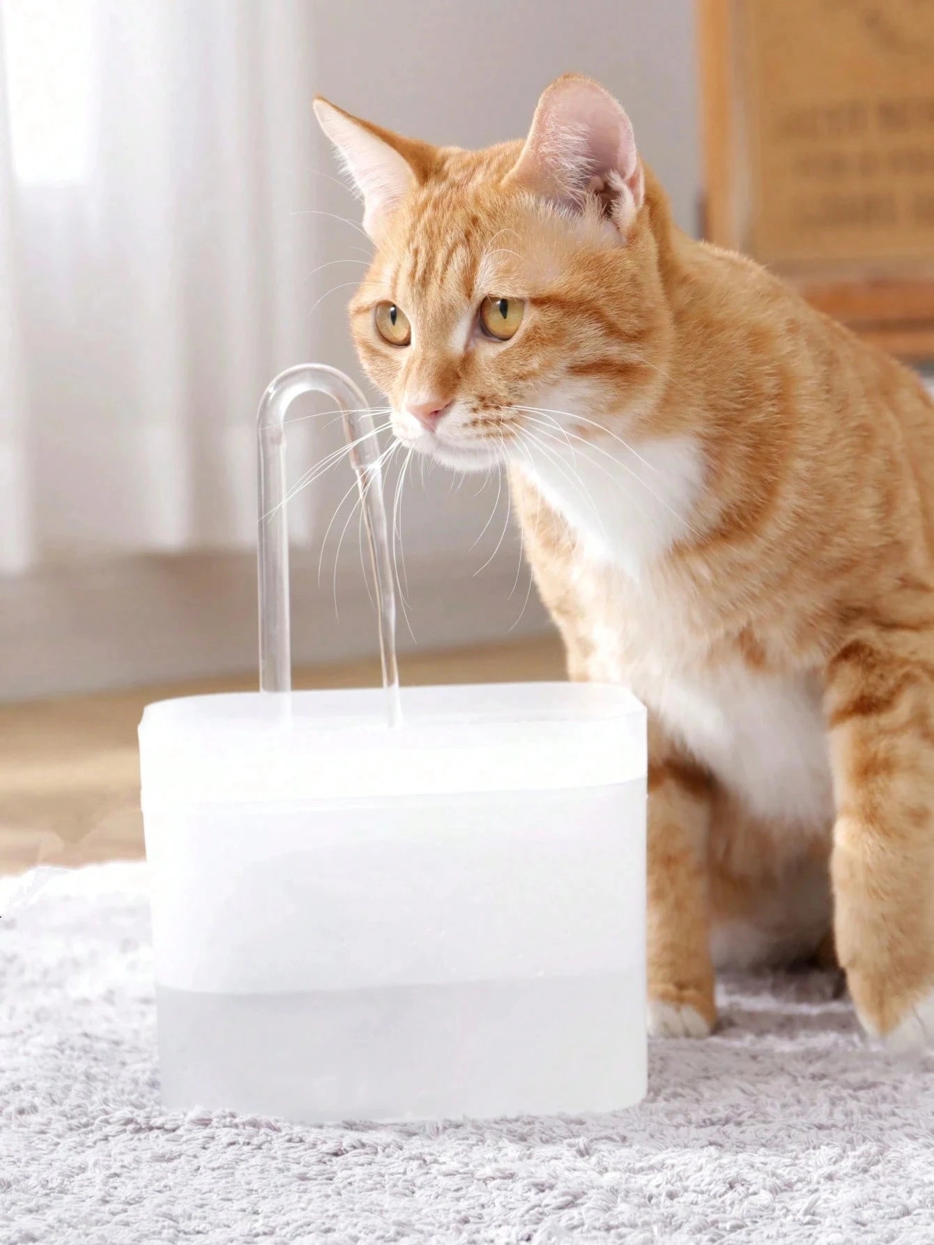 The Loaf Fountain — Filtered Fresh Water, Whisper Quiet