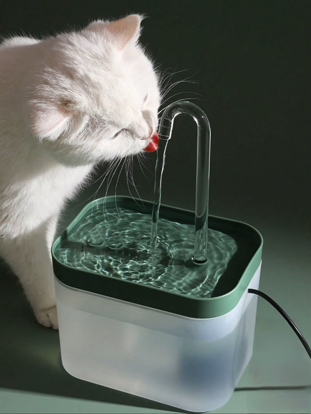 The Loaf Fountain — Filtered Fresh Water, Whisper Quiet