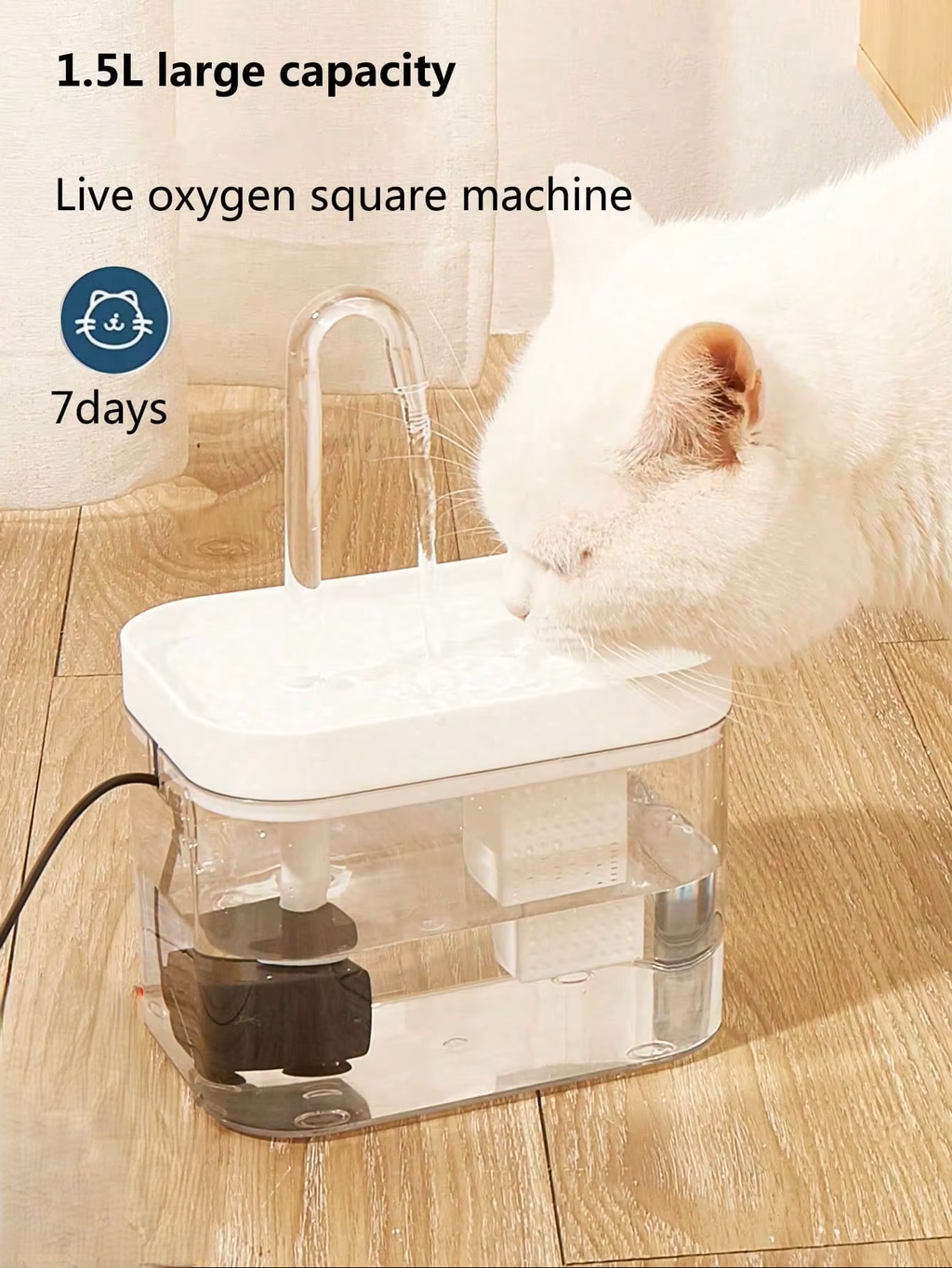 The Loaf Fountain — Filtered Fresh Water, Whisper Quiet