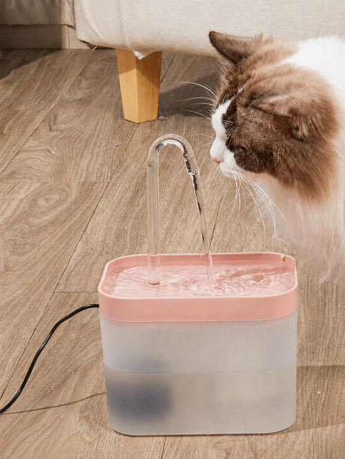 The Loaf Fountain — Filtered Fresh Water, Whisper Quiet
